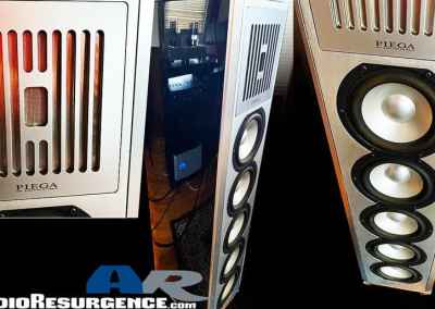 Piega C40 Speaker Review